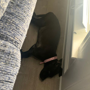 Meet your Posher, Keren